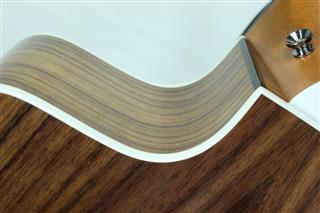 TAYLOR GUITARS 214CE DLX